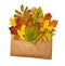 Opened craft paper envelope with dry autumn leaves