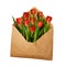 Opened craft paper envelope with red tulip flowers