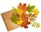 Opened craft paper envelope with scattered dry autumn leaves