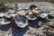 Opened empty oyster shells on sea coast