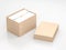 Opened large cardboard Box Mockup with cover and white wrapping paper and label