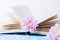 Opened old book with chrysanthemum flower on blurred bokeh background