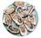 Opened raw oysters on blue plate top view. Delicacy food. File contains clipping path