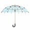 Opened transparent umbrella 3D