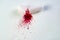 Opened white capsule, pill with blood spill, on white background