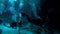 Opening in the cenote cave system near Tulum with swimmers and scuba divers.