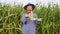 Opening a corn in hands, elderly farmer worker stands in field,