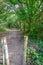 Opening to a forest walk along a sun dappled track.