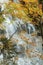 Openings in colorful fall foliage reveal Cloudland Falls, New Ha