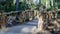 Openwork wooden bridge in the natural park in spring