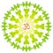 Openwork yellow and green elegant mandala on a white background. The sign aum, om, ohm in the center.