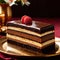 Opera Cake , traditional popular sweet dessert cake