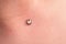 Operation to install microdermal piercing. Professional placing