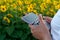 The operator holds the remote control of the drone in his hands against the background of a sunflower field and clouds. A farmer