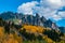 Ophir Needles Fall Colors