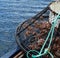 Opilio Crab Fishing in Alaska