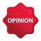 Opinion misty rose red starburst sticker button