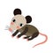 Opossum animal cartoon character vector illustration