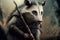 Opossum animal portrait dressed as a warrior fighter or combatant soldier concept. Ai generated