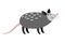 Opossum cute cartoon animal icon