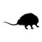 Opossum Didelphis Virginiana Standing On a Front View Silhouette Found In Map Of North America. Good To Use For Element Print