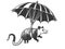 Opossum fly with Umbrella Illustration raster