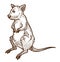 Opossum marsupial animal full size hand drawn sketch illustration