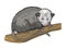 Opossum sketch vector illustration