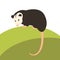 Opossum vector illustration style Flat