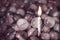 Opposites. Ice and fire. A burning lonely candle among ice balls