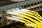 optical fiber network