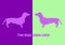 Optical illusion: both dogs have the same color. Illustration