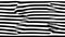 Optical illusion curve wave. Abstract vector background with black and white lines. Pattern distorted textures