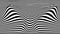 Optical illusion curve wave. Abstract vector background with black and white lines. Pattern distorted textures