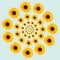 Optical illusion sunflower pattern circle on blue background. Summer spring flower concept