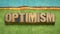 Optimism word abstract in wood type