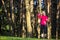 Optimistic Adult Caucasian Woman Nodic Trekking in Summer Forest Outdoors.Looking Upwards