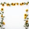 Optimistic sunflower border