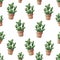 Optunia or Prickly Pear Cactus Painting illustration Seamless Pattern