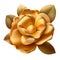 Opulent Gold Camellia Flower Illustrations: Botanical Splendor.