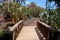 Opuntias in botanical garden in Fuerteventura island