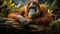 orang utan old animal rests in the tropical rainforest. generative ai