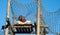 Orang Utan perched at the top of a wooden structure against clear blue sky. Photographed at Monkey World Ape Rescue Centre