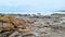 Orange Algae covered rocks at the seashore on a rock platform.