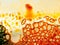 Orange aqueous abstract splattered liquid textures with bubbles