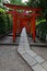 Orange arches over the path, in Nezu temple