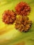 Orange artificial fabric flowers