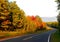 Orange Autumn Colors along scenic winding road