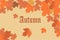 Orange autumn leaf wallpaper background