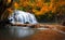 Orange autumn leaves on trees in forest and mountain river flows